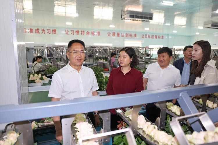 姚安開水族店怎么樣？加盟祥龍魚場賣龍魚市場怎樣？ 姚安開水族店怎么樣？加盟祥龍魚場賣龍魚市場怎樣？ 水族館百科（水族館加盟） 第4張