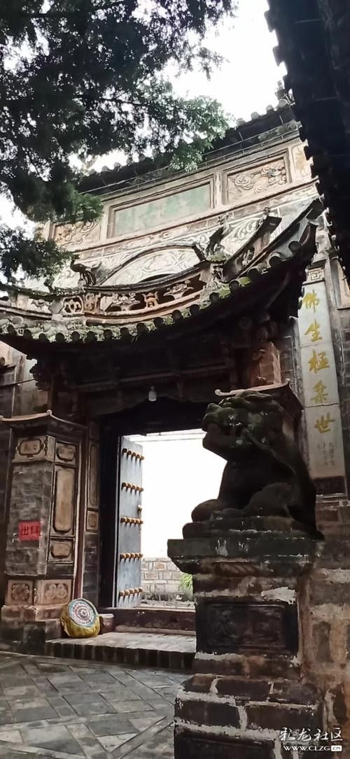 姚安開水族店怎么樣？加盟祥龍魚場賣龍魚市場怎樣？ 姚安開水族店怎么樣？加盟祥龍魚場賣龍魚市場怎樣？ 水族館百科（水族館加盟） 第3張