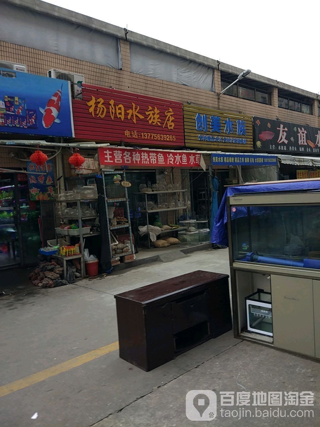 溧陽開水族店怎么樣？加盟祥龍魚場賣龍魚市場怎樣？