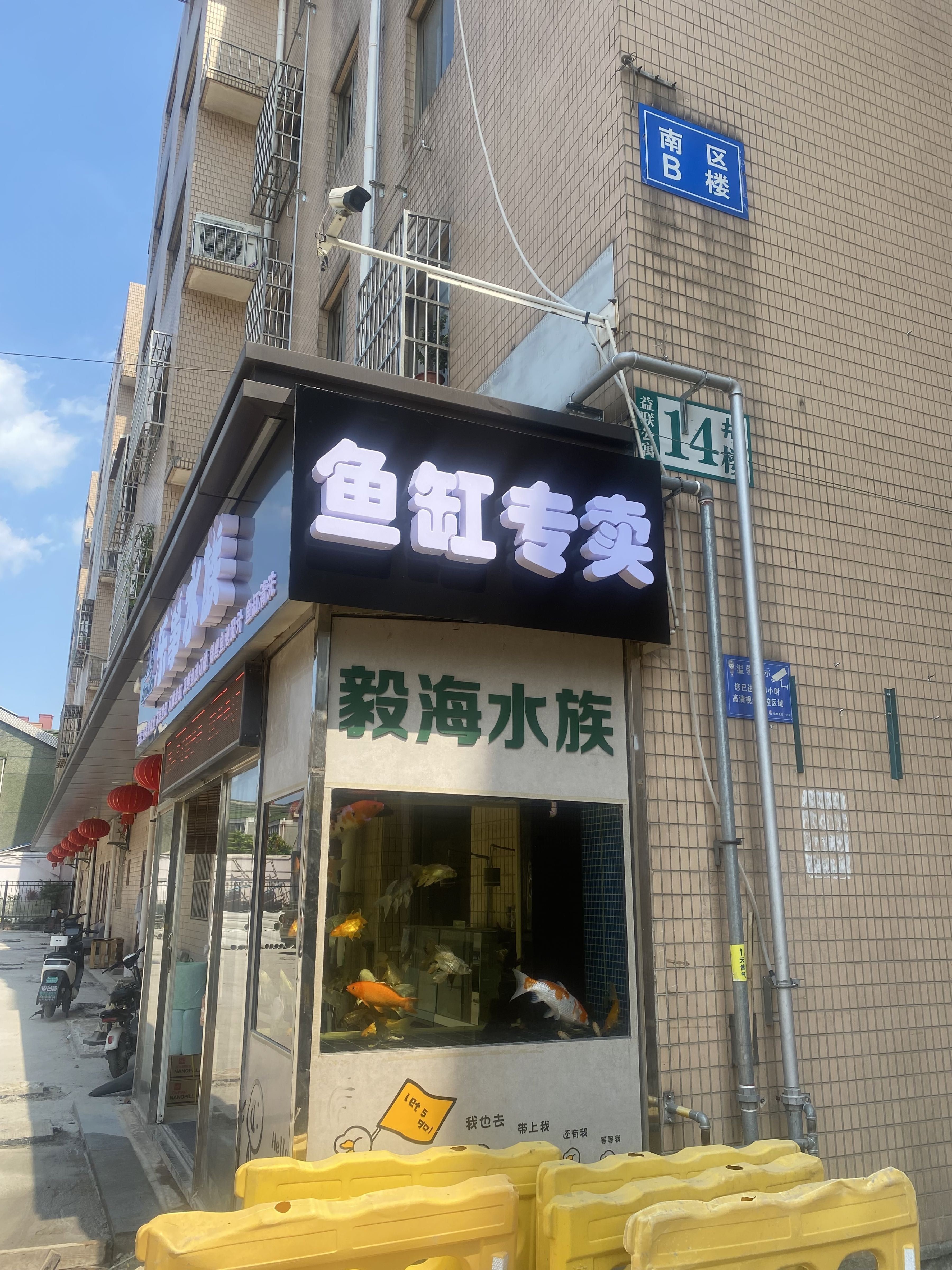 溧陽開水族店怎么樣？加盟祥龍魚場賣龍魚市場怎樣？