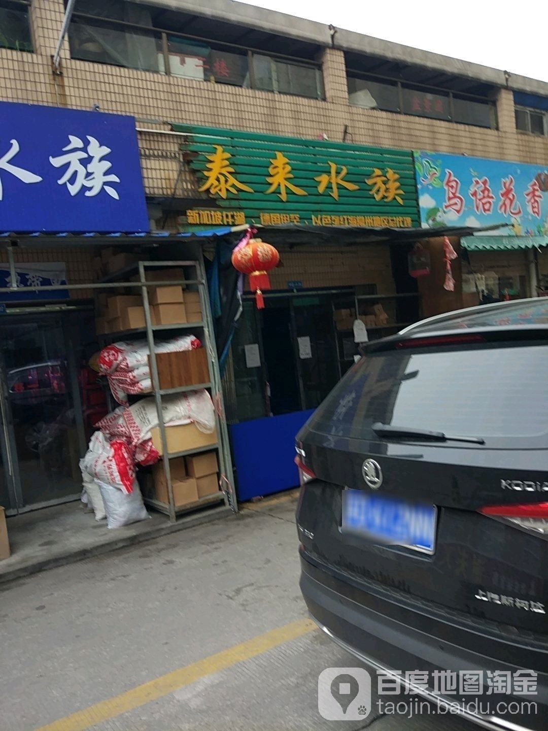 溧陽開水族店怎么樣？加盟祥龍魚場賣龍魚市場怎樣？