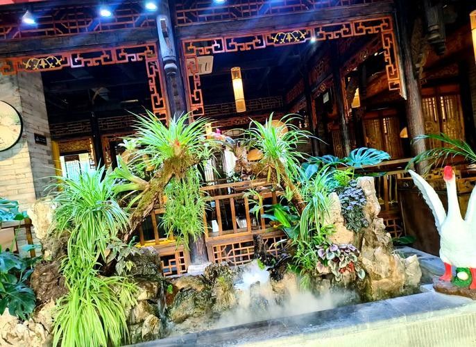蒙自開水族店怎么樣？加盟祥龍魚場賣龍魚市場怎樣？
