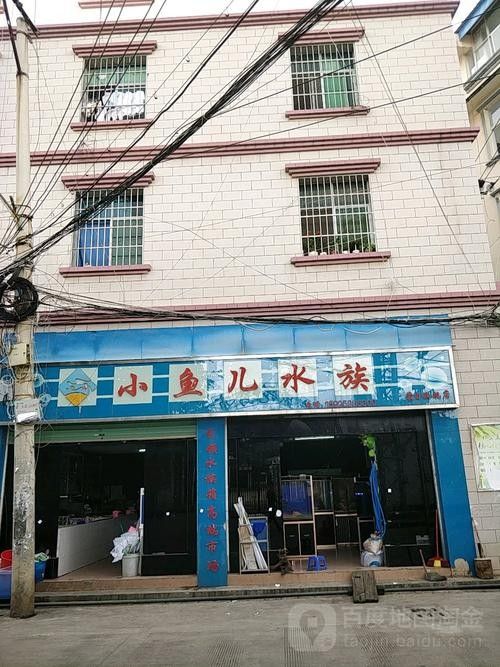 蒙自開水族店怎么樣？加盟祥龍魚場賣龍魚市場怎樣？