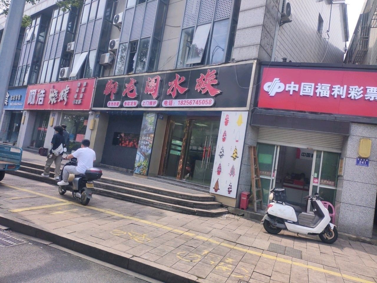 安吉開水族店怎么樣？加盟祥龍魚場賣龍魚市場怎樣？ 安吉開水族店怎么樣？加盟祥龍魚場賣龍魚市場怎樣？ 水族館百科（水族館加盟） 第2張