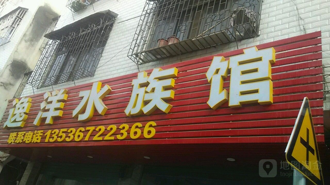 河東開水族店怎么樣？加盟祥龍魚場賣龍魚市場怎樣？