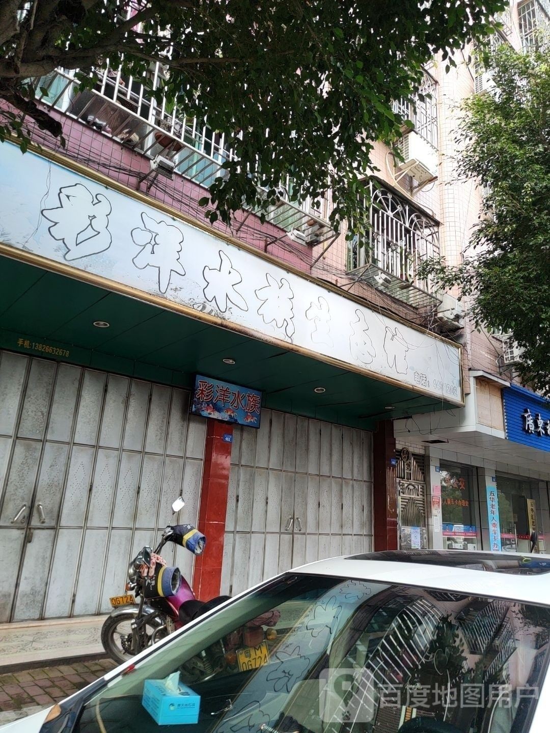 河東開水族店怎么樣？加盟祥龍魚場賣龍魚市場怎樣？