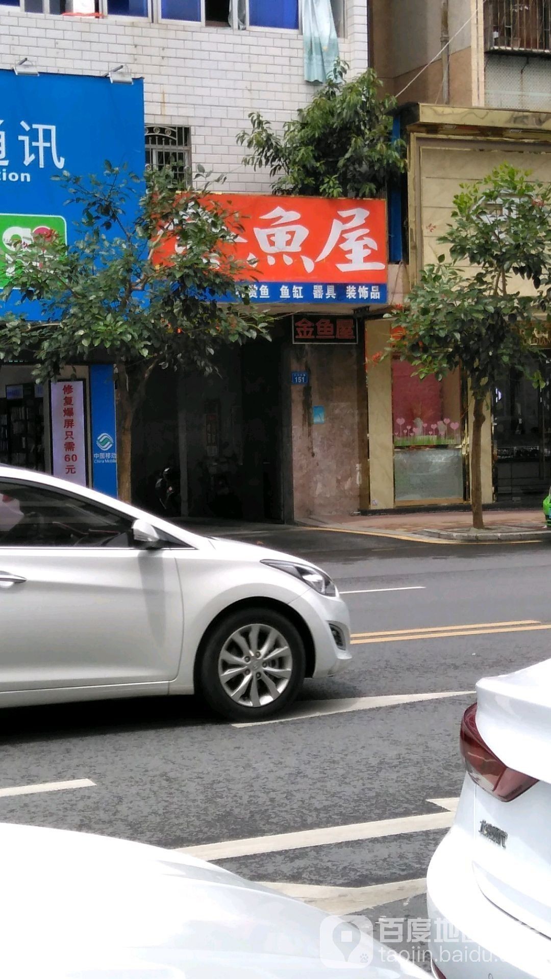 河東開水族店怎么樣？加盟祥龍魚場賣龍魚市場怎樣？