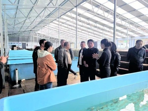 鄂溫克旗開水族店怎么樣？加盟祥龍魚場賣龍魚市場怎樣？