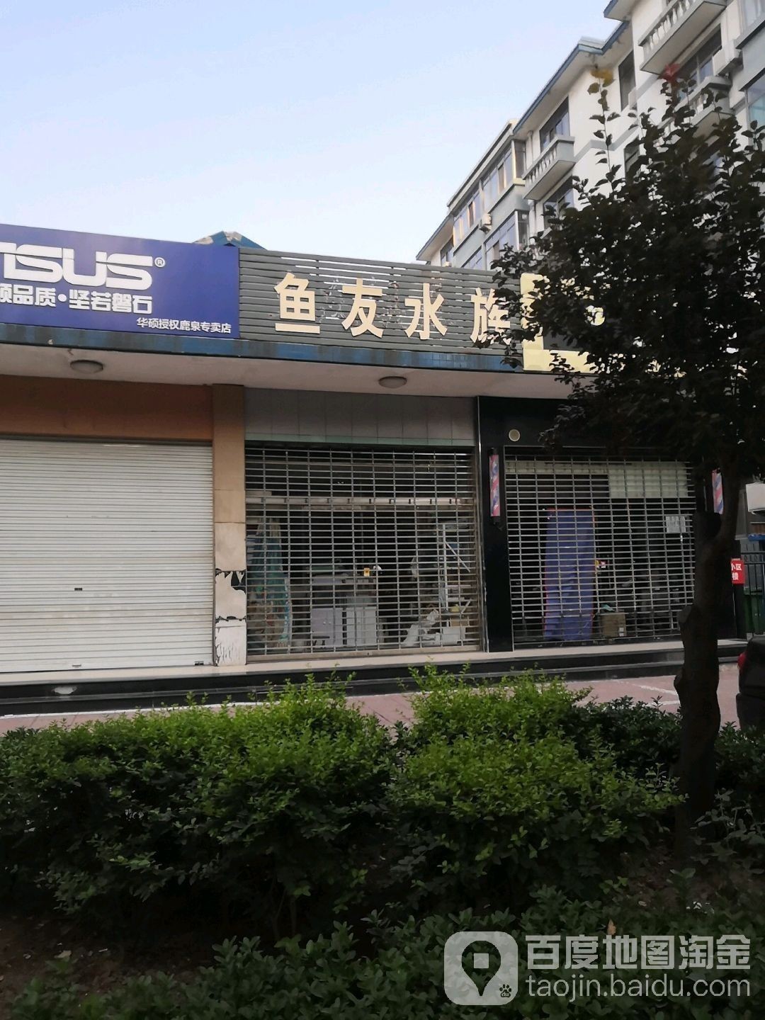 鹿泉開水族店怎么樣？加盟祥龍魚場賣龍魚市場怎樣？ 鹿泉開水族店怎么樣？加盟祥龍魚場賣龍魚市場怎樣？ 水族館百科（水族館加盟） 第1張