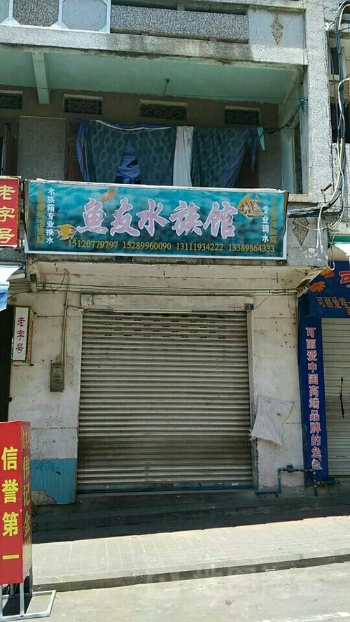 瓊海開水族店怎么樣？加盟祥龍魚場賣龍魚市場怎樣？