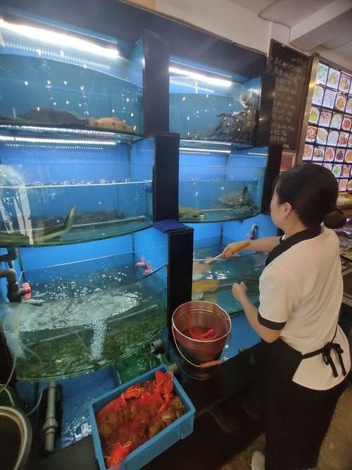 瓊海開水族店怎么樣？加盟祥龍魚場賣龍魚市場怎樣？