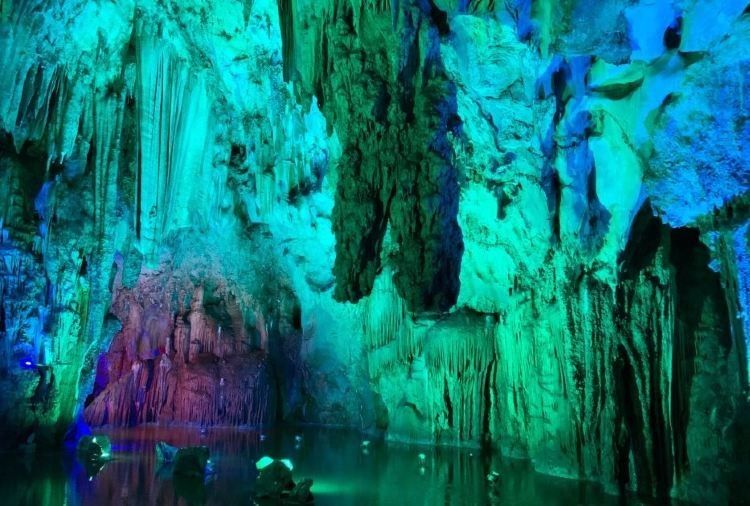 瀘西開水族店怎么樣？加盟祥龍魚場賣龍魚市場怎樣？