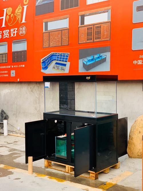 瀘西開水族店怎么樣？加盟祥龍魚場賣龍魚市場怎樣？