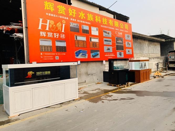 瀘西開水族店怎么樣？加盟祥龍魚場賣龍魚市場怎樣？