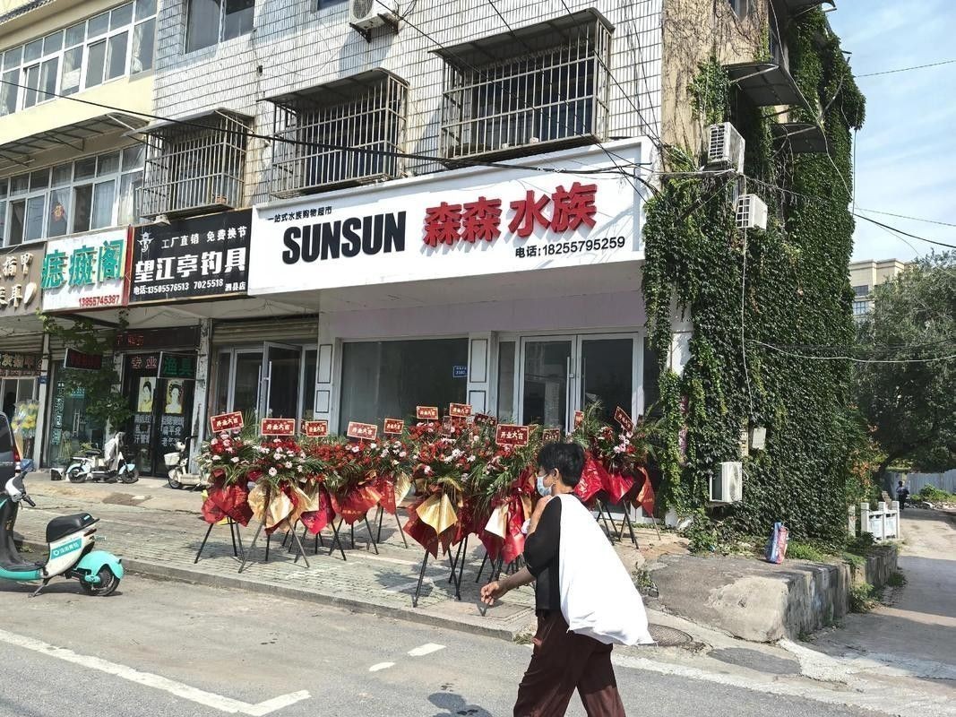 泗縣開水族店怎么樣？加盟祥龍魚場賣龍魚市場怎樣？