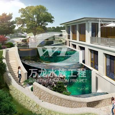 淮南地區龍魚銷售情況和相關店鋪：淮南地區的龍魚市場