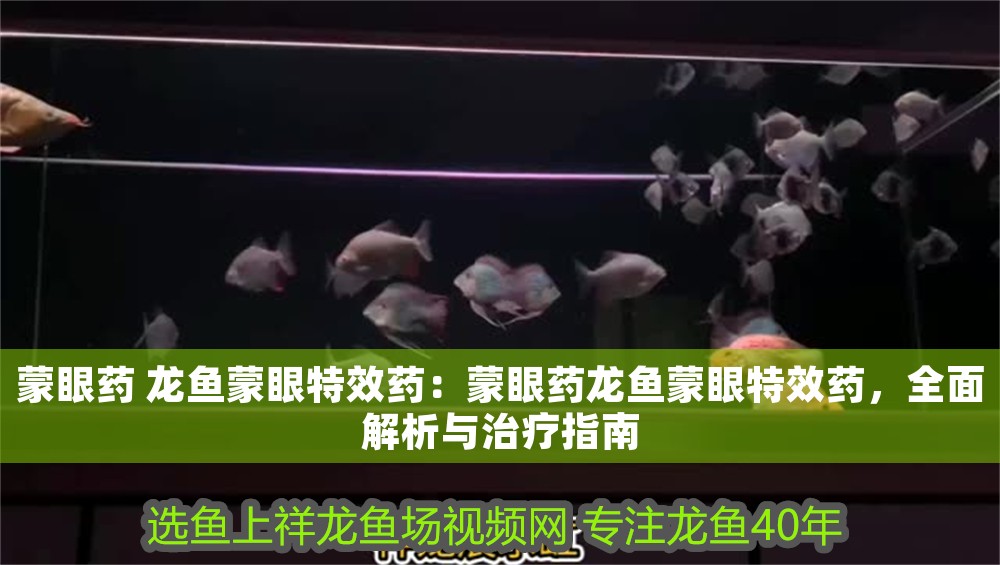 蒙眼藥 龍魚蒙眼特效藥：蒙眼藥龍魚蒙眼特效藥，全面解析與治療指南 蒙眼藥 龍魚蒙眼特效藥：蒙眼藥龍魚蒙眼特效藥，全面解析與治療指南 龍魚百科 第1張