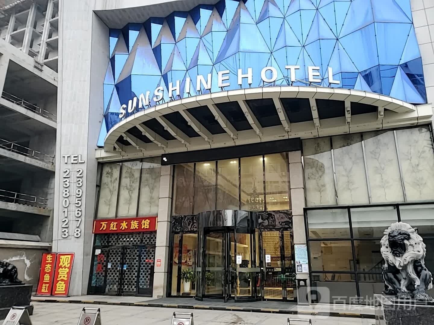 銅川開水族店怎么樣？加盟祥龍魚場賣龍魚市場怎樣？