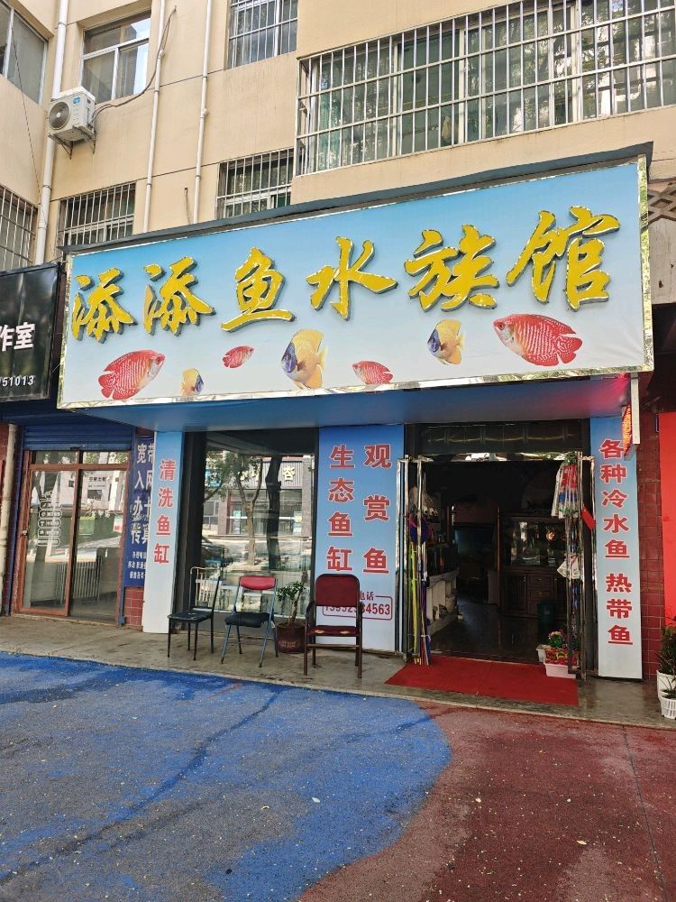 銅川開水族店怎么樣？加盟祥龍魚場賣龍魚市場怎樣？