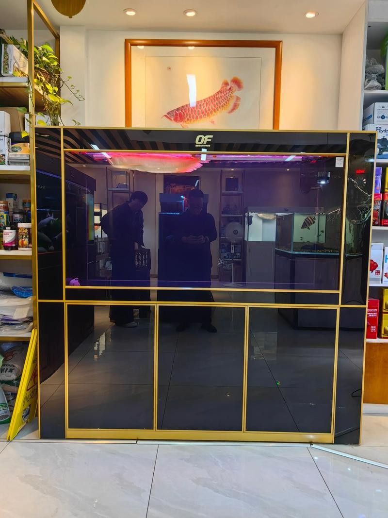 銅川開水族店怎么樣？加盟祥龍魚場賣龍魚市場怎樣？