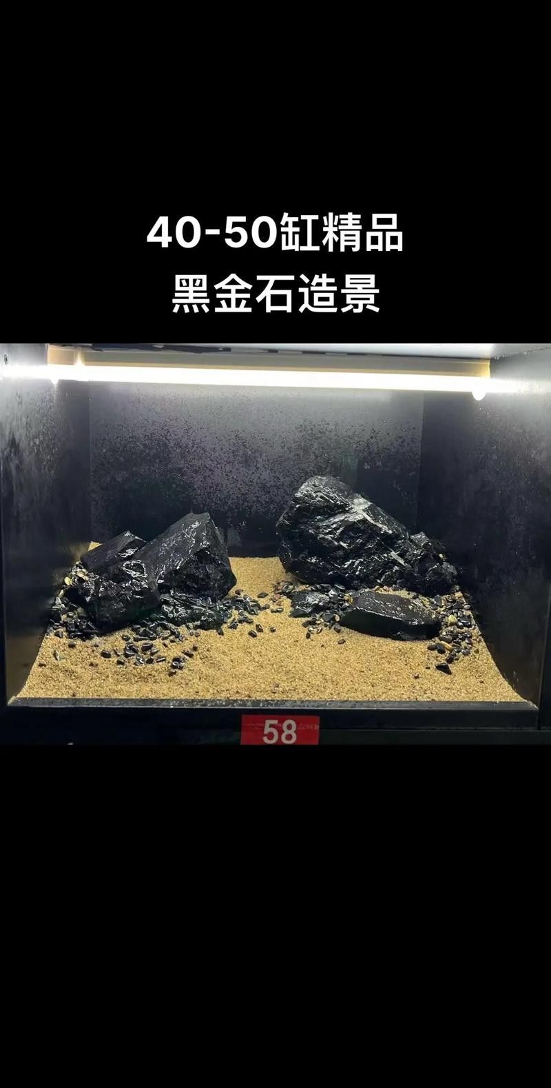 銀龍魚缸底鋪什么好看