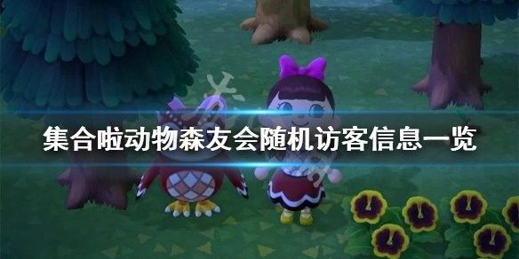 龍克斯一天來幾次？