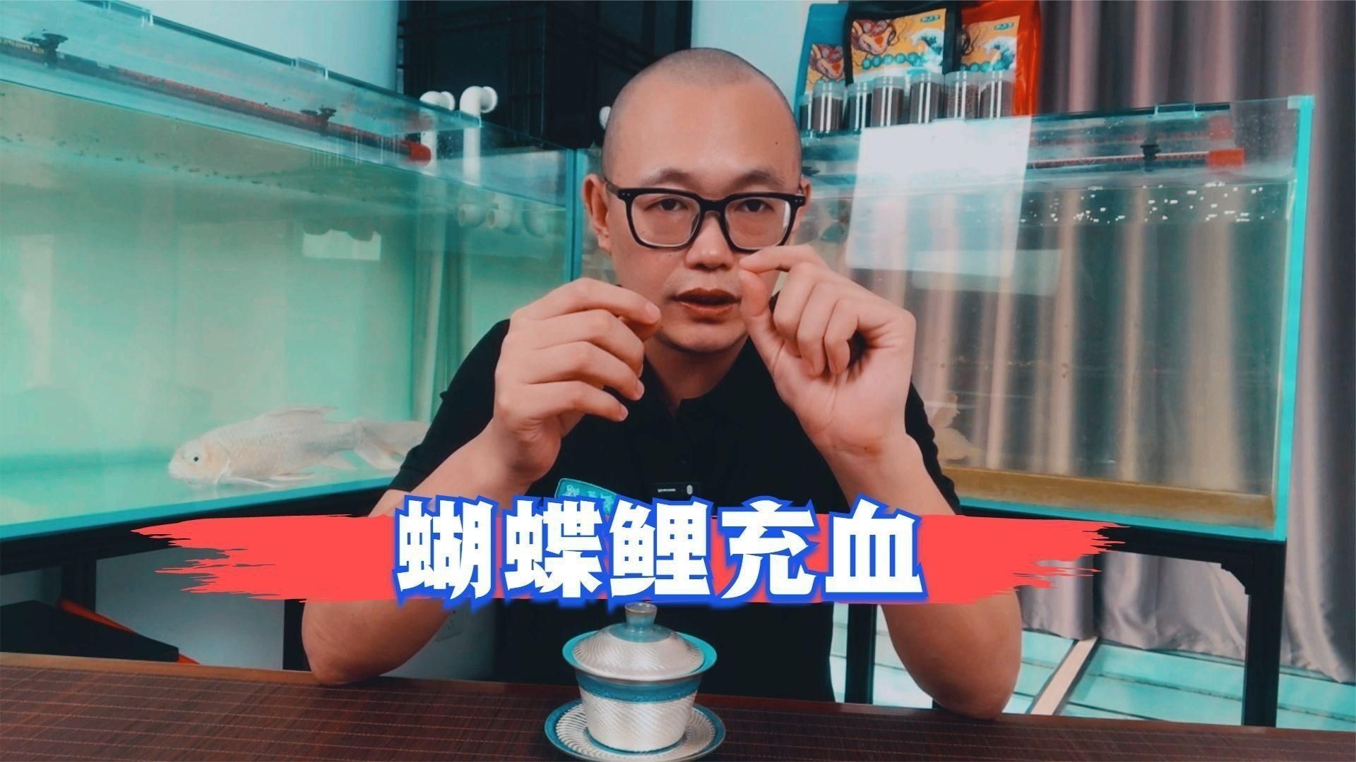 魚尾鰭充血多久會好？