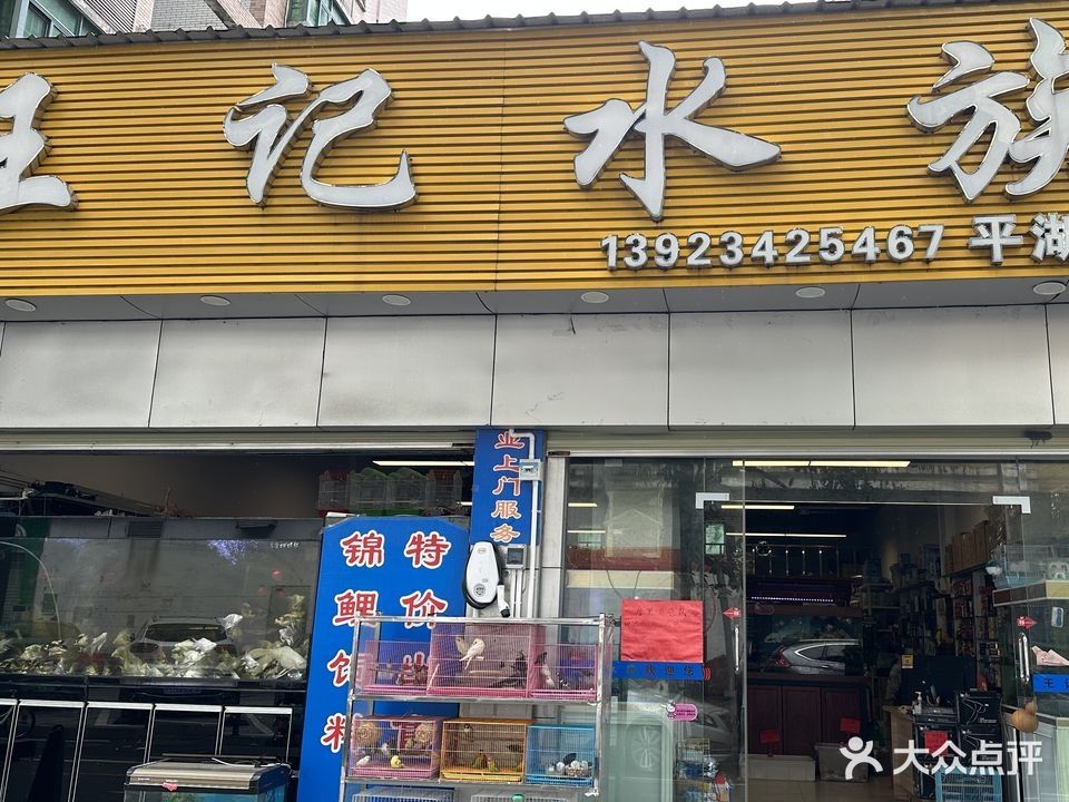 舟曲開水族店怎么樣？加盟祥龍魚場賣龍魚市場怎樣？