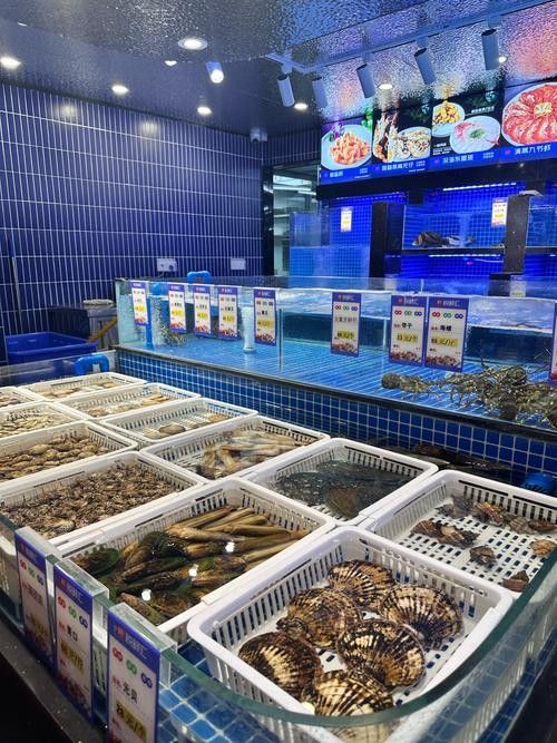 六庫(kù)開(kāi)水族店怎么樣？加盟祥龍魚(yú)場(chǎng)賣龍魚(yú)市場(chǎng)怎樣？