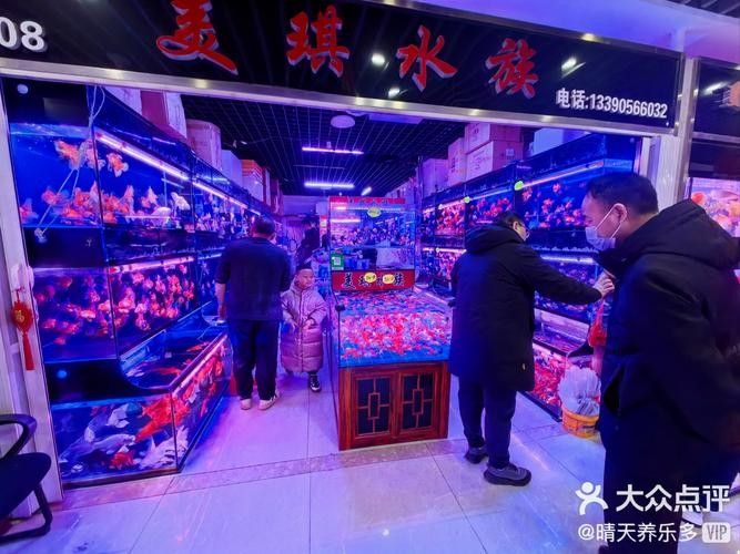 六庫(kù)開(kāi)水族店怎么樣？加盟祥龍魚(yú)場(chǎng)賣龍魚(yú)市場(chǎng)怎樣？