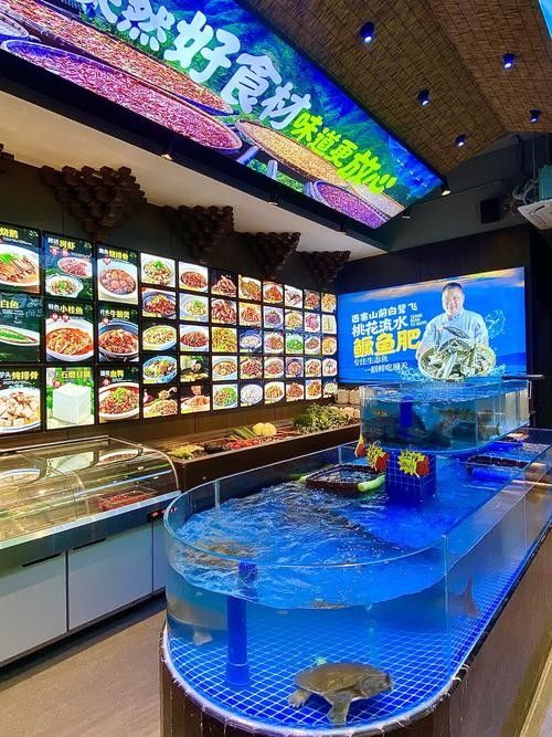 東昌府開水族店怎么樣？加盟祥龍魚場賣龍魚市場怎樣？ 東昌府開水族店怎么樣？加盟祥龍魚場賣龍魚市場怎樣？ 水族館百科（水族館加盟） 第6張