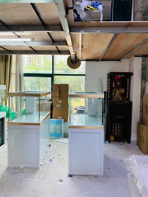 云浮開水族店怎么樣？加盟祥龍魚場賣龍魚市場怎樣？