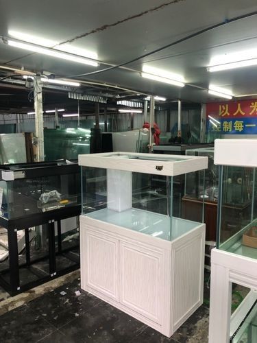 金州開水族店怎么樣？加盟祥龍魚場賣龍魚市場怎樣？