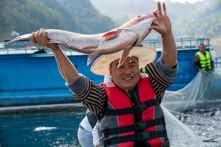 貴州開水族店怎么樣？加盟祥龍魚場賣龍魚市場怎樣？