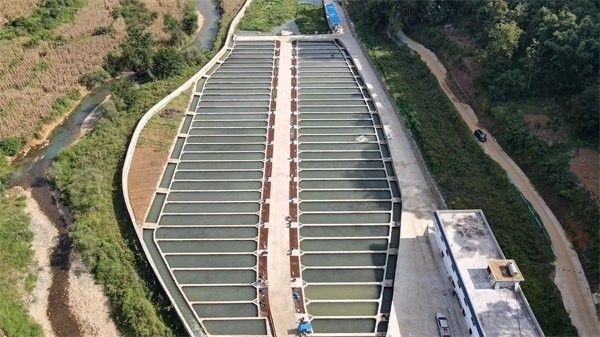 貴州開水族店怎么樣？加盟祥龍魚場賣龍魚市場怎樣？