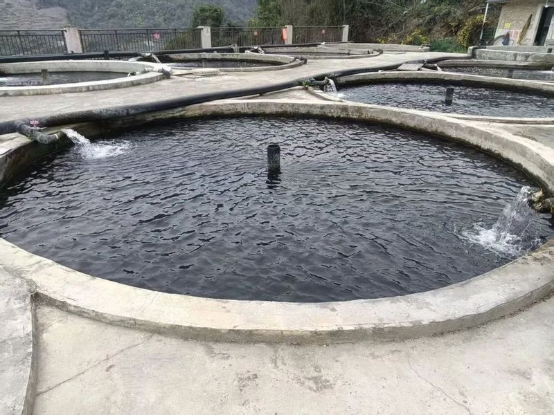 貴州開水族店怎么樣？加盟祥龍魚場賣龍魚市場怎樣？