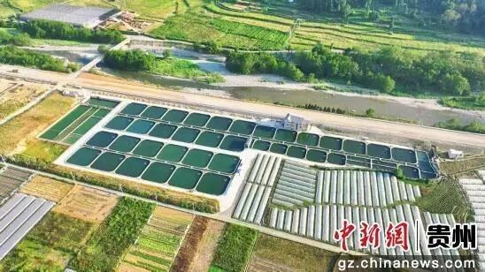 貴州開水族店怎么樣？加盟祥龍魚場賣龍魚市場怎樣？