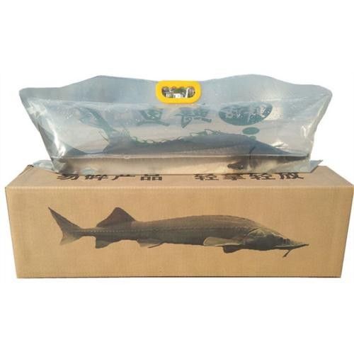 龍魚食用魚 龍魚食用魚 龍魚百科 第9張