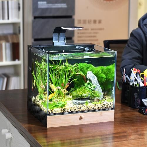 墨竹工卡開(kāi)水族店怎么樣？加盟祥龍魚場(chǎng)賣龍魚市場(chǎng)怎樣？