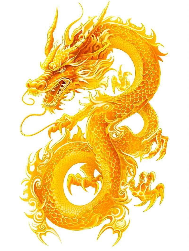 哪個網(wǎng)站提供高清龍圖片素材？ 哪個網(wǎng)站提供高清龍圖片素材？ 龍魚百科 第11張