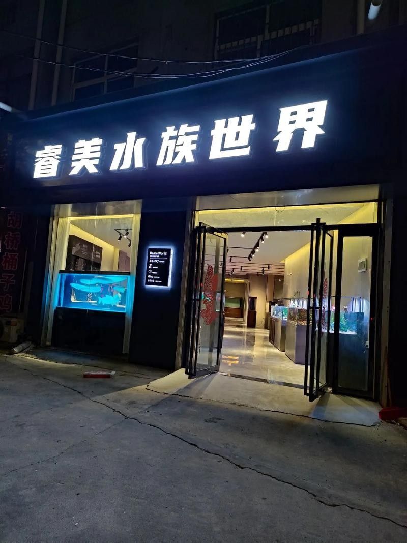 寧夏開水族店怎么樣？加盟祥龍魚場賣龍魚市場怎樣？