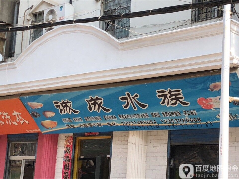 山陽開水族店怎么樣？加盟祥龍魚場賣龍魚市場怎樣？