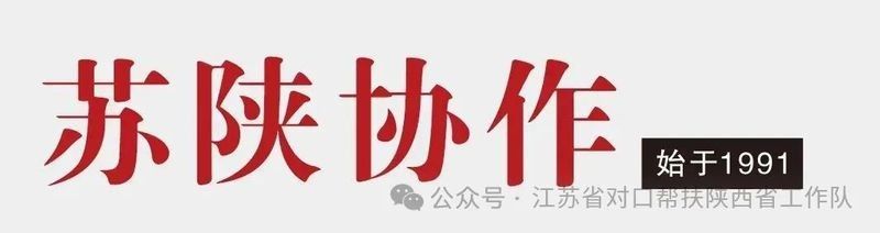南鄭開水族店怎么樣？加盟祥龍魚場(chǎng)賣龍魚市場(chǎng)怎樣？ 南鄭開水族店怎么樣？加盟祥龍魚場(chǎng)賣龍魚市場(chǎng)怎樣？ 水族館百科（水族館加盟） 第9張