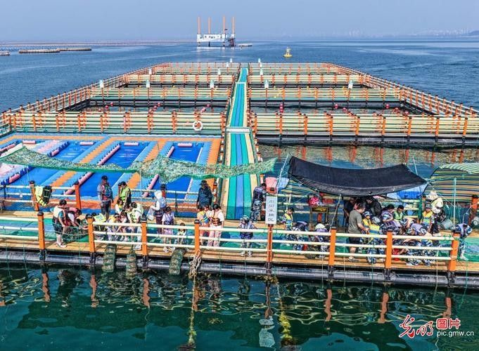 德州開水族店怎么樣？加盟祥龍魚場賣龍魚市場怎樣？
