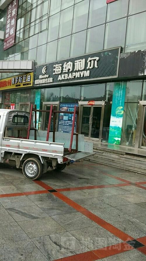 綏芬河開水族店怎么樣？加盟祥龍魚場賣龍魚市場怎樣？