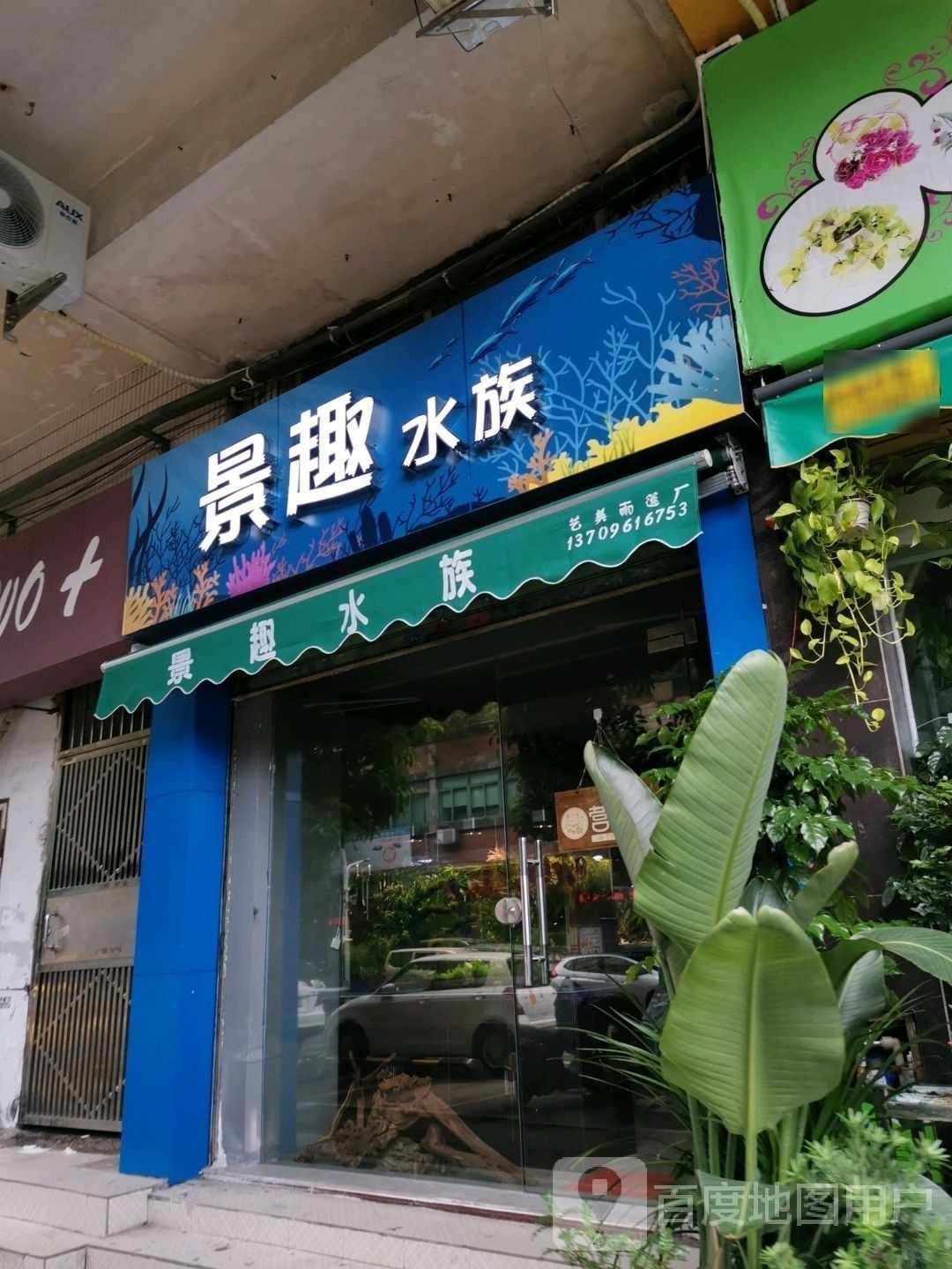 卡若開水族店怎么樣？加盟祥龍魚場賣龍魚市場怎樣？
