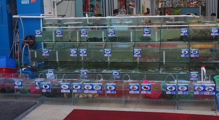 廣東開水族店怎么樣？加盟祥龍魚場(chǎng)賣龍魚市場(chǎng)怎樣？