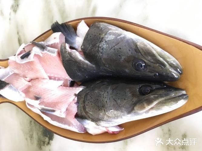 嵩明開水族店怎么樣？加盟祥龍魚場賣龍魚市場怎樣？ 嵩明開水族店怎么樣？加盟祥龍魚場賣龍魚市場怎樣？ 水族館百科（水族館加盟） 第4張