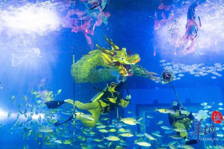 珠海水族館 龍魚世家水族館可以