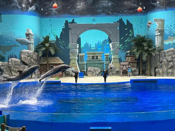 珠海水族館 龍魚世家水族館可以